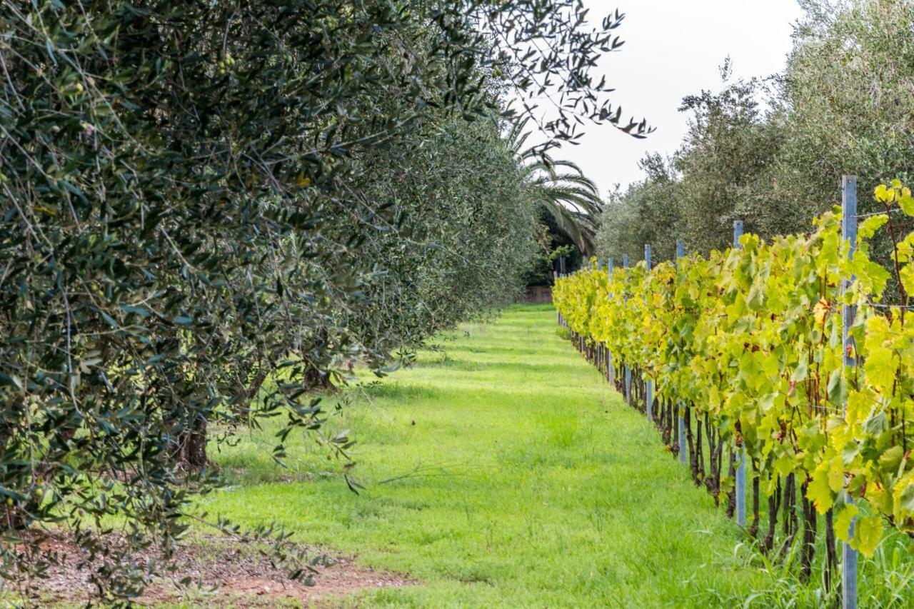 Agriturismo Villa Isa Follonica Bagian luar foto